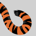 Illustration of a curled tiger tail with black stripes on an orange background, set against a plain gray backdrop. The tail curves in a spiral shape, with the pointed tip at the center.
