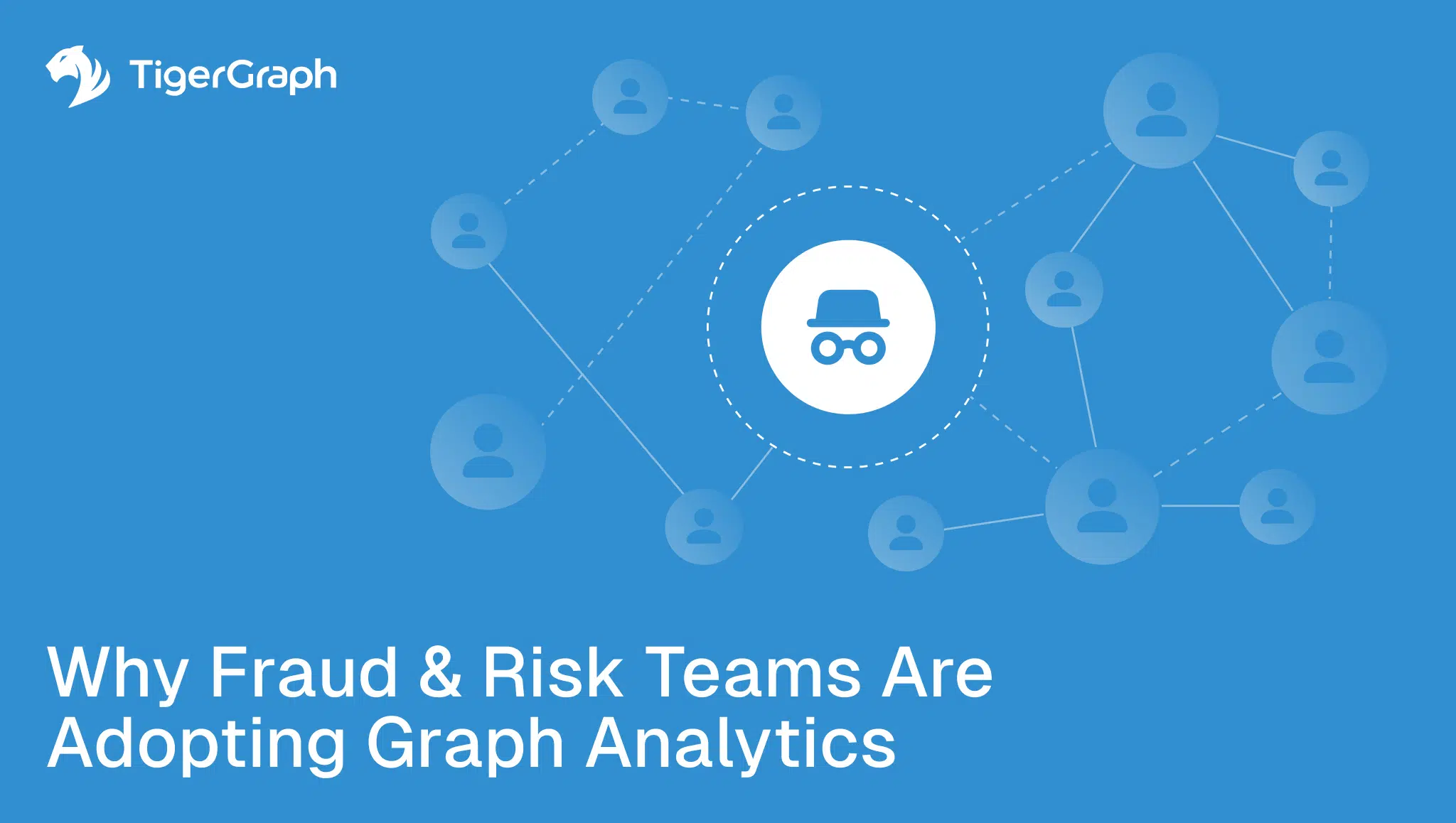 Read more about the article Why Fraud & Risk Teams Are Adopting Graph Analytics